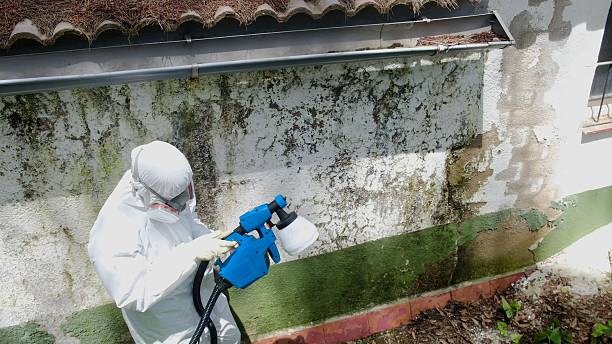Trusted Mold Inspection service in Fairfield, NJ - Cheap Mold Removal